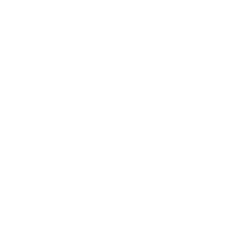Boiler repair icon